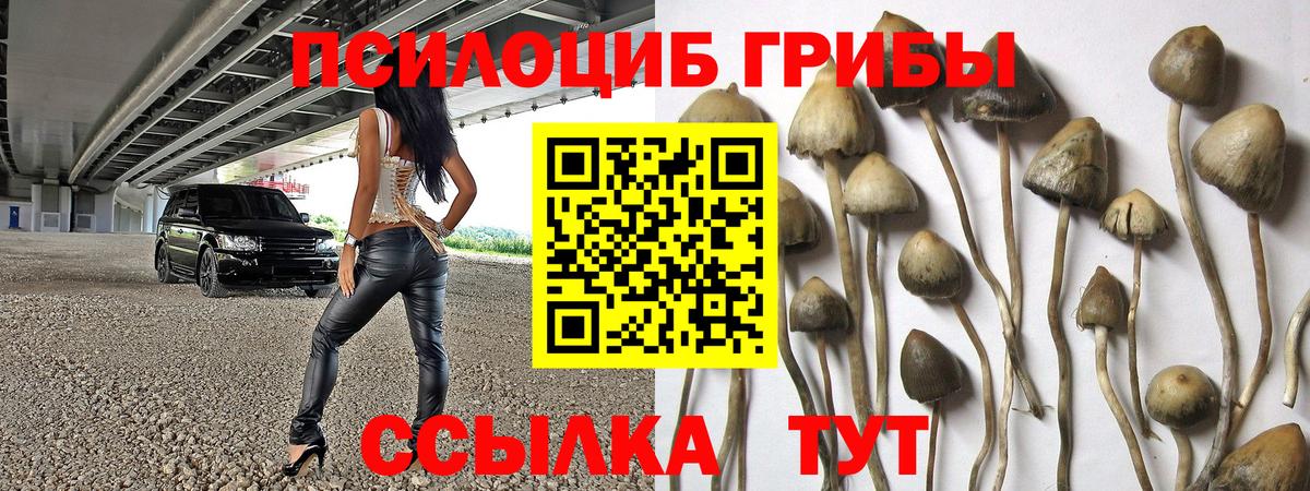 Троицк  Псилоцибиновые грибы мухоморы  Вход с VPN  Псилоцибиновые грибы мицелий 